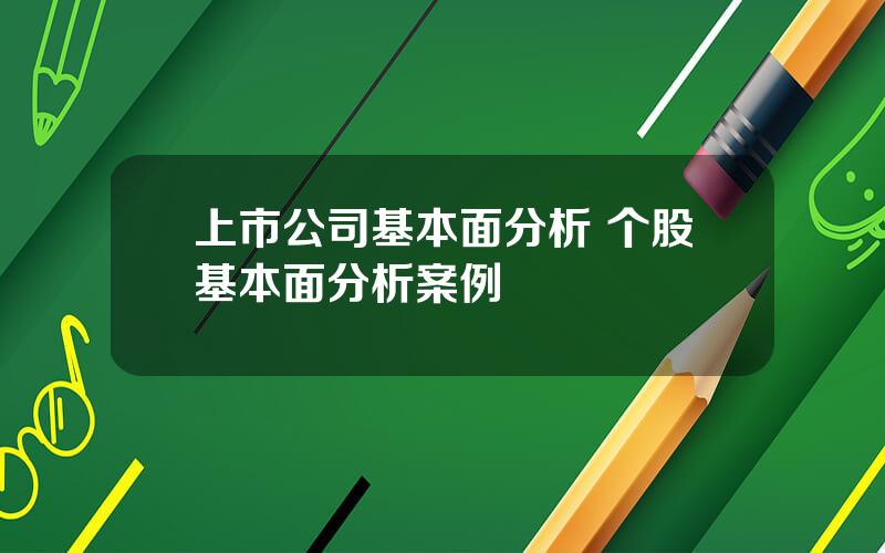 上市公司基本面分析 个股基本面分析案例